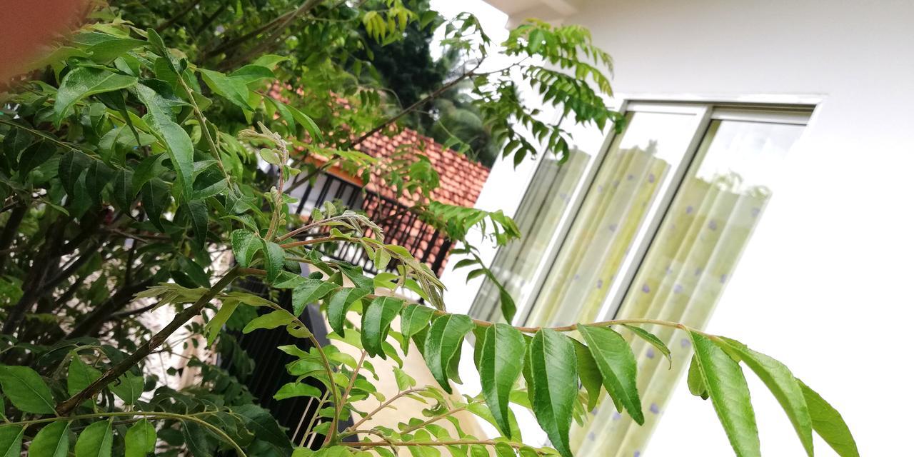 Ocean Voyage Hotel Tangalle Luaran gambar